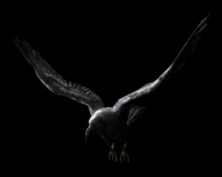 Crow (Resident Evil 5)