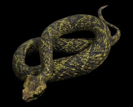 Viper (Resident Evil 4 Remake)