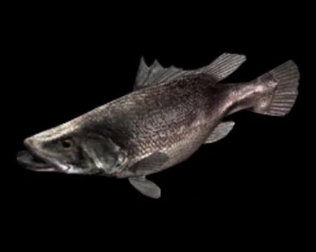 Nile Perch (Resident Evil 5)