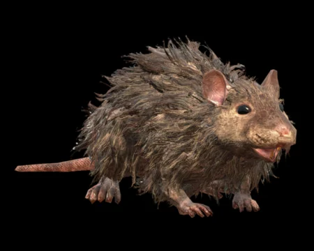 Rat (Resident Evil 4 Remake)
