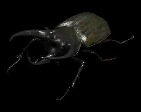 Rhinoceros Beetle (Resident Evil 4 Remake)